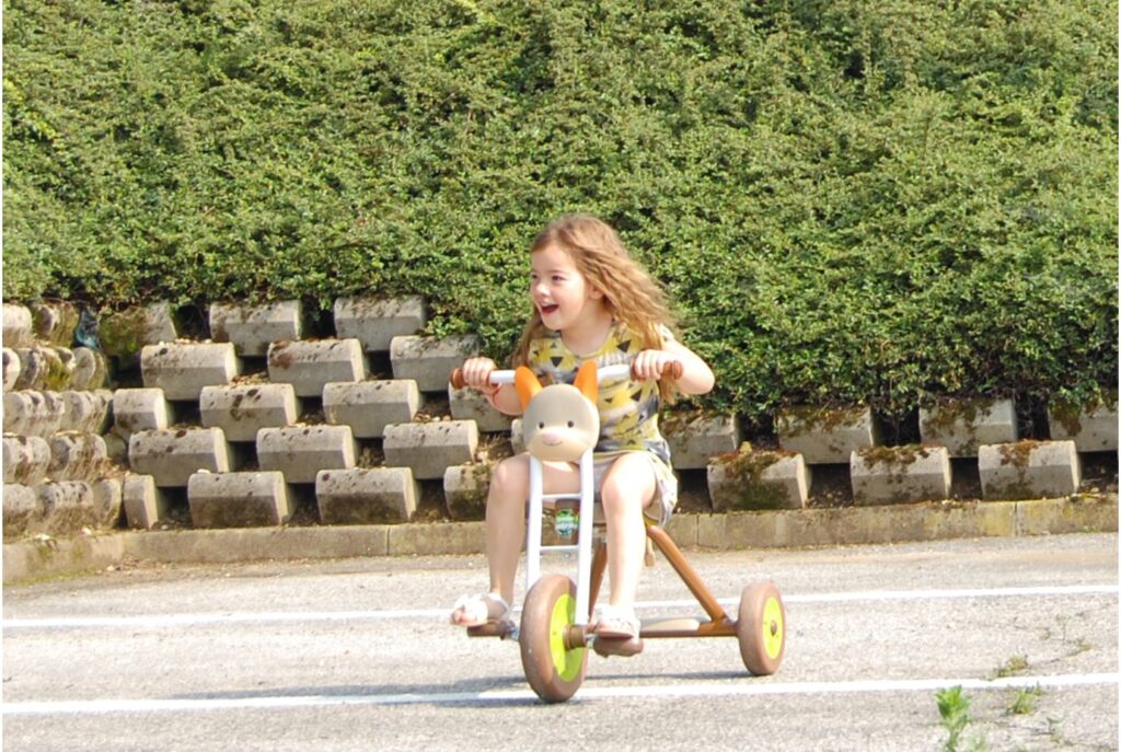 Italtrike Prodotto Grid