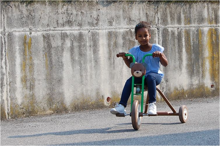 Italtrike Prodotto Grid